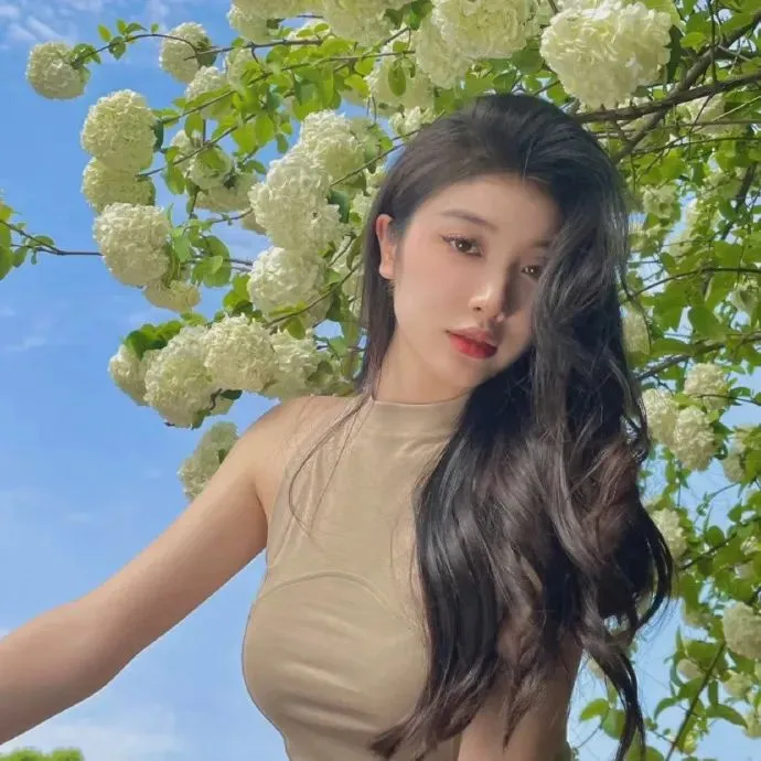 航海王：红发歌姬